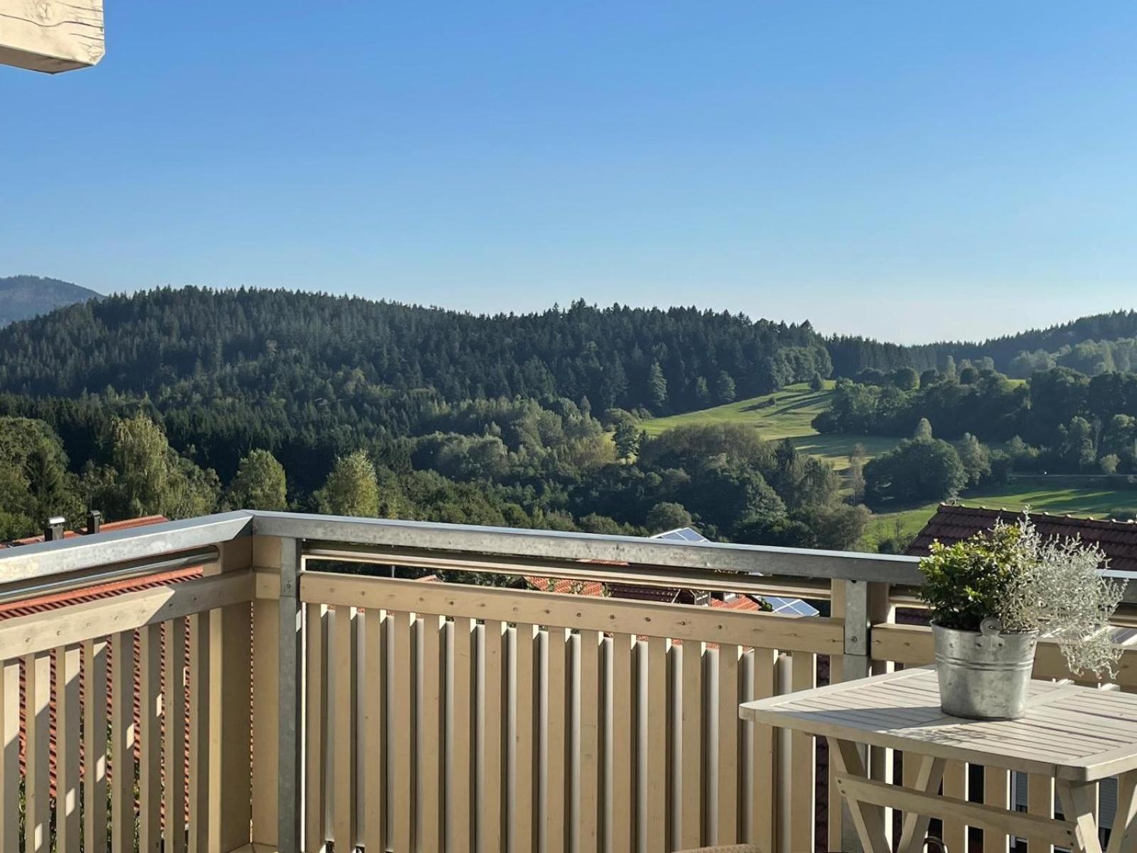 Haus Paradies Superior Fewo'S Loft, Terrasse, Private Sauna, Aktiv Card, Sankt Englmar Zewnętrze zdjęcie
