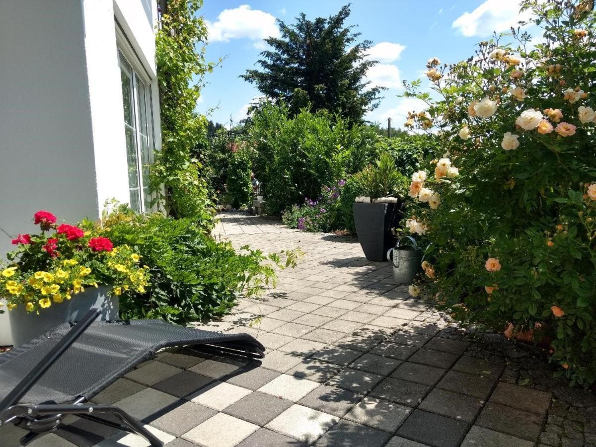 Haus Paradies Superior Fewo'S Loft, Terrasse, Private Sauna, Aktiv Card, Sankt Englmar Zewnętrze zdjęcie